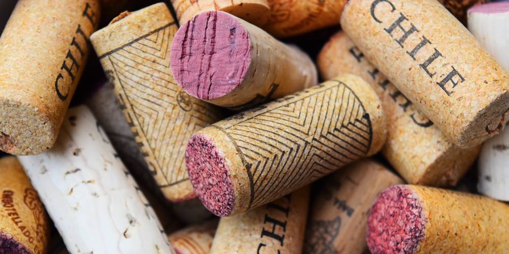 Qué podemos saber de un vino por su corcho? / Blog Bodega Santa Cecilia